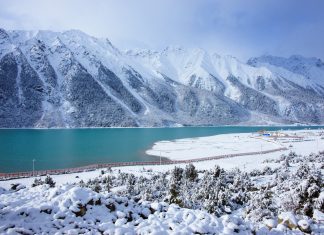 Arctic shipping traffic hits record in 2025