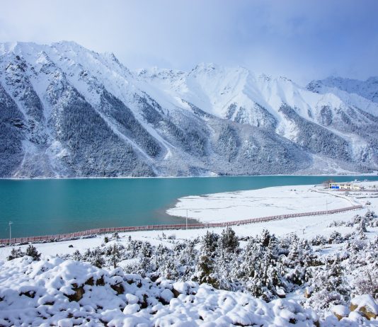 Arctic shipping traffic hits record in 2025