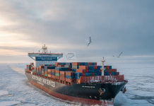 Are Arctic Container Liner Services the Future of Global Shipping?